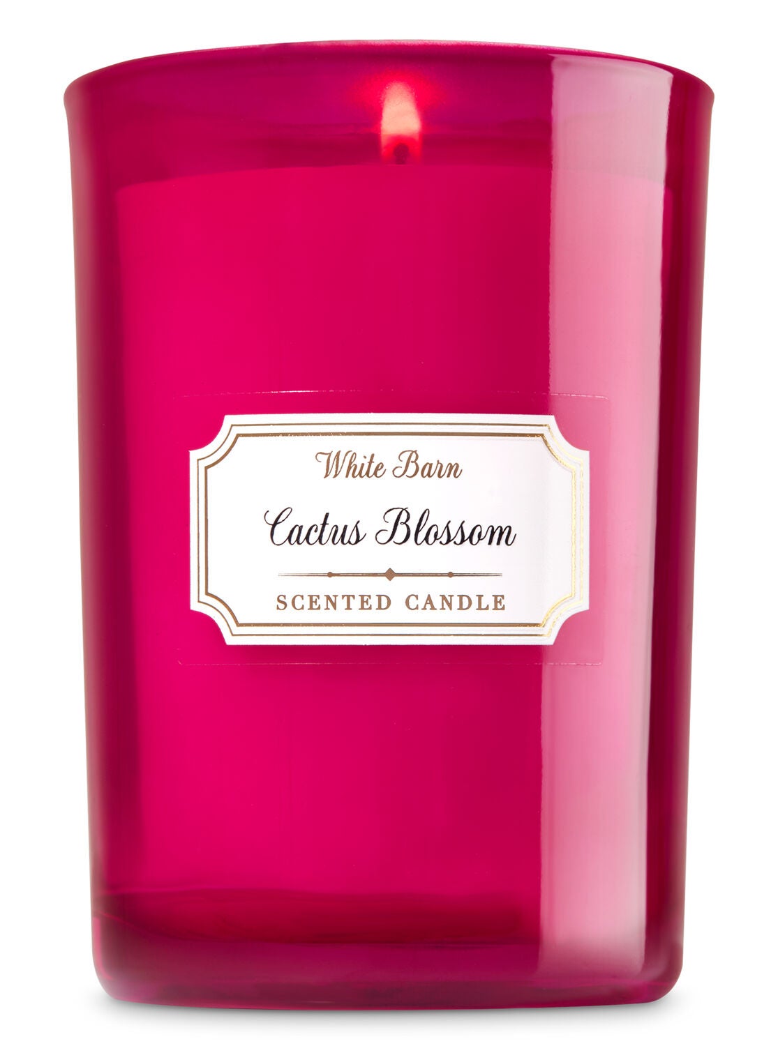 Cactus Blossom Medium Candle - Bath And Body Works