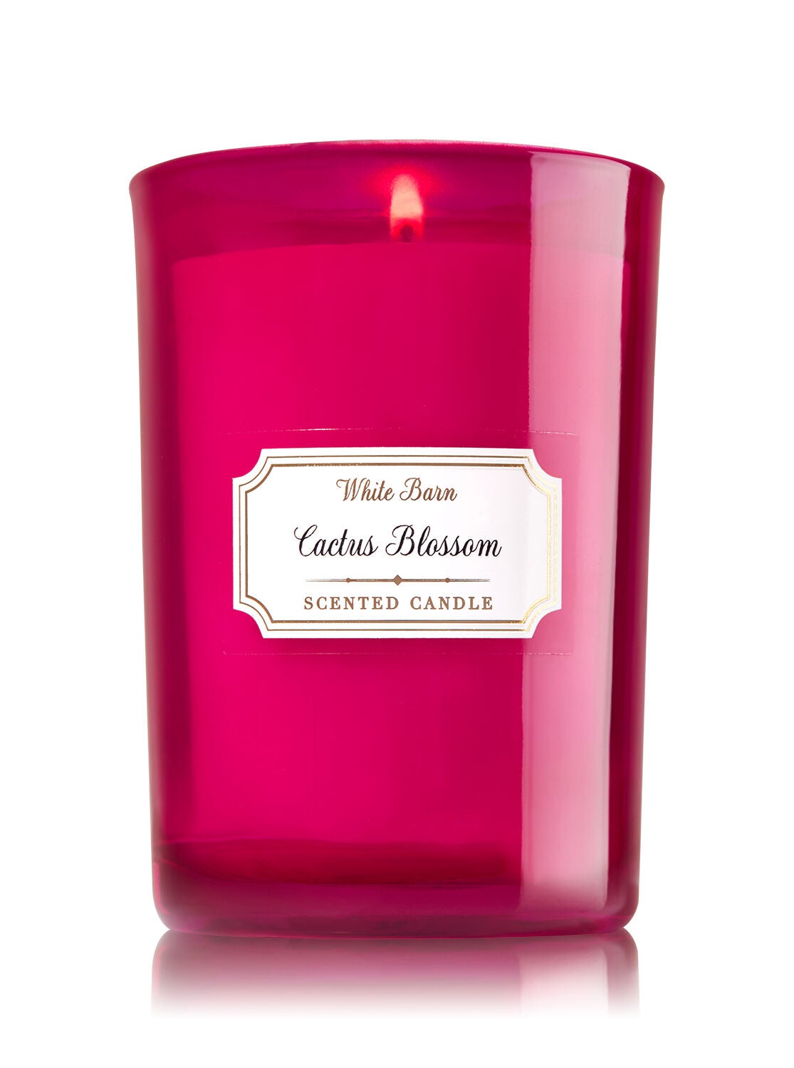 Cactus Blossom Medium Candle - Bath And Body Works