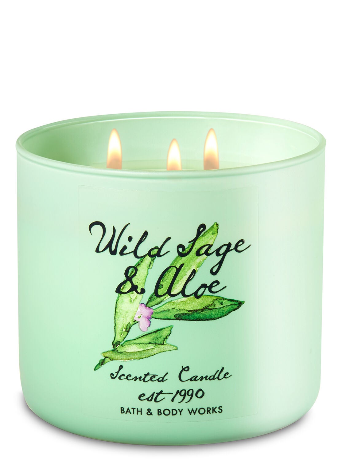 Wild Sage & Aloe 3-Wick Candle - Bath And Body Works
