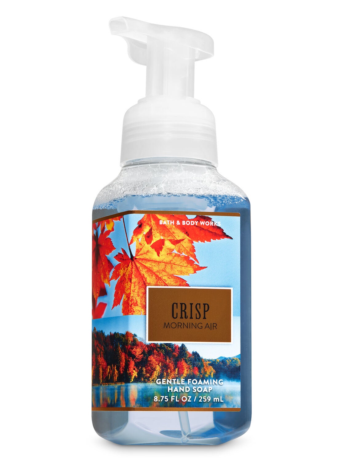 Crisp Morning Air Gentle Foaming Hand Soap - Bath And Body Works