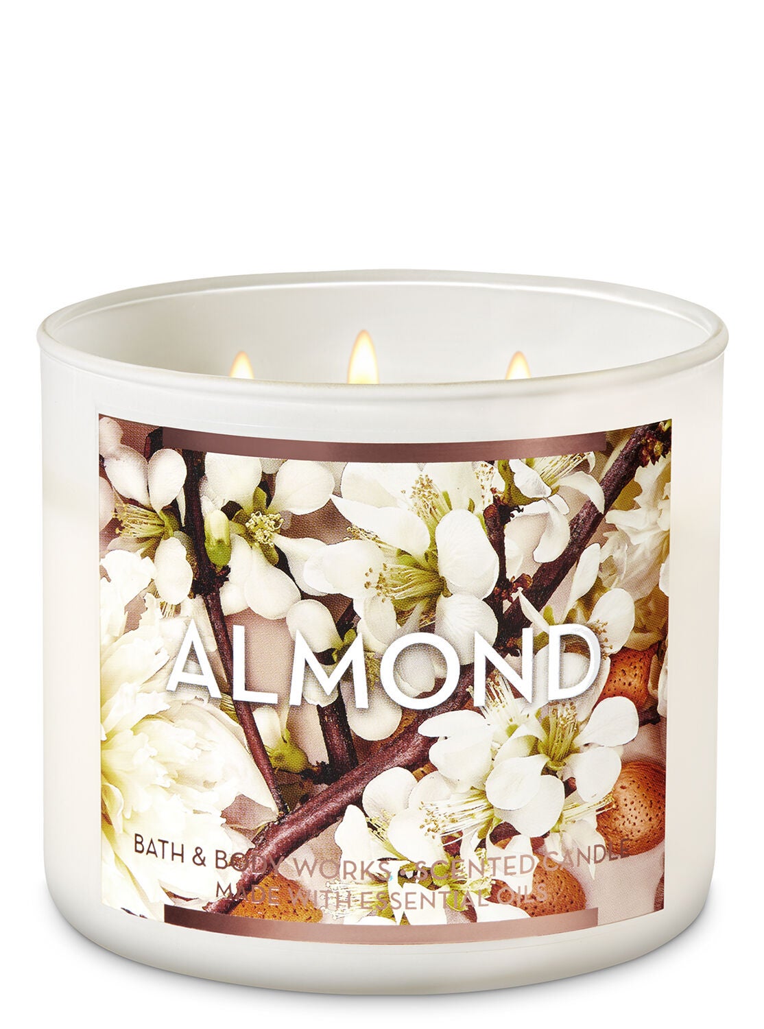 Almond 3-Wick Candle - Bath And Body Works