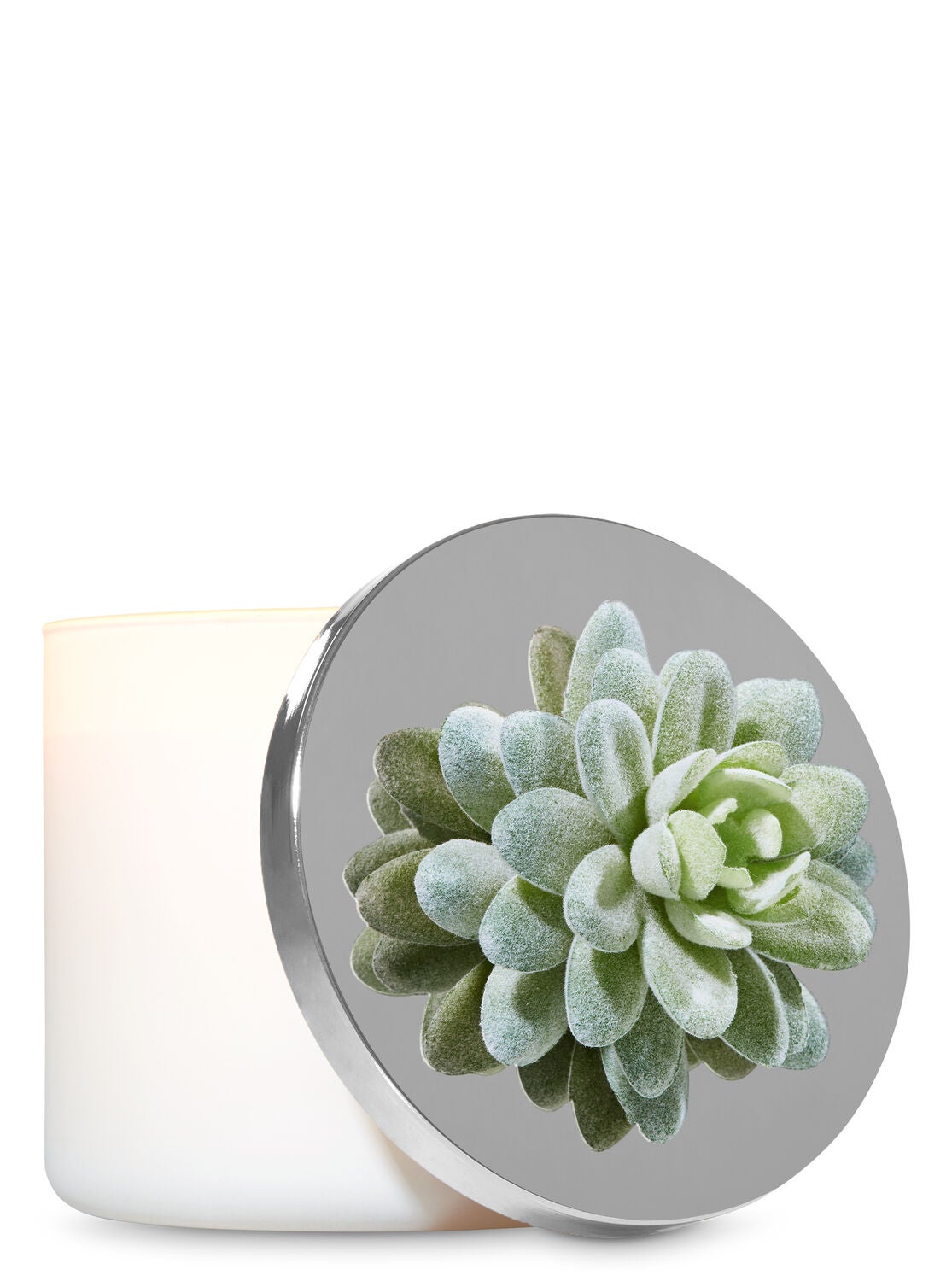 Light Green Succulent 3-Wick Candle Magnet - Bath And Body Works