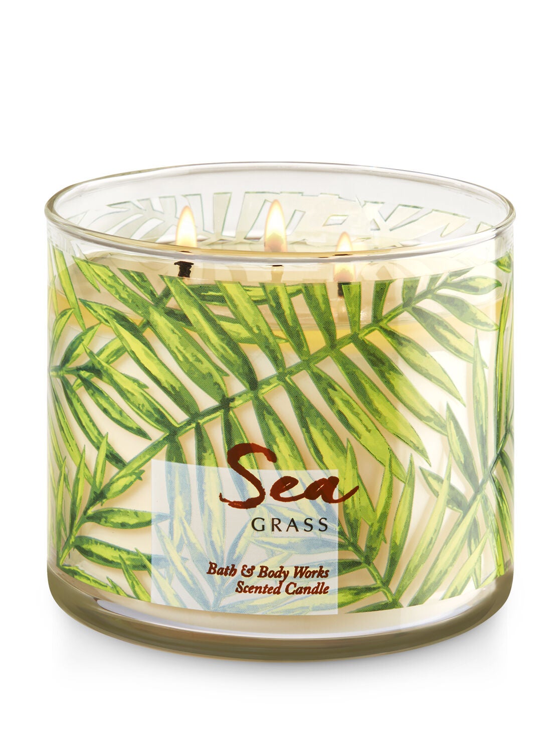 Sea Grass 3-Wick Candle - Bath And Body Works