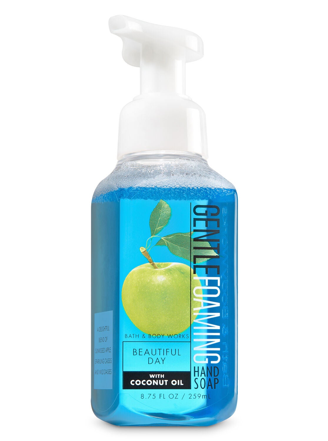 Beautiful Day Gentle Foaming Hand Soap - Bath And Body Works