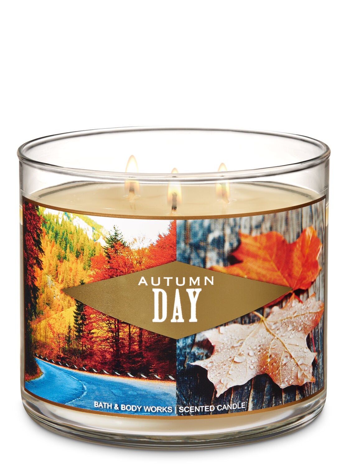 Autumn Day 3-Wick Candle - Bath And Body Works