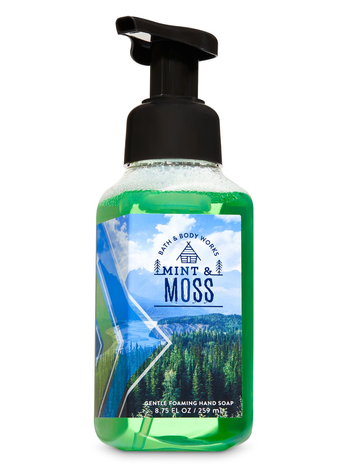 Mint & Moss Gentle Foaming Hand Soap - Bath And Body Works