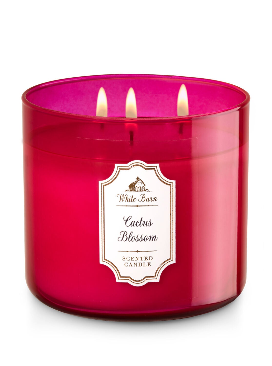 Cactus Blossom 3-Wick Candle - Bath And Body Works