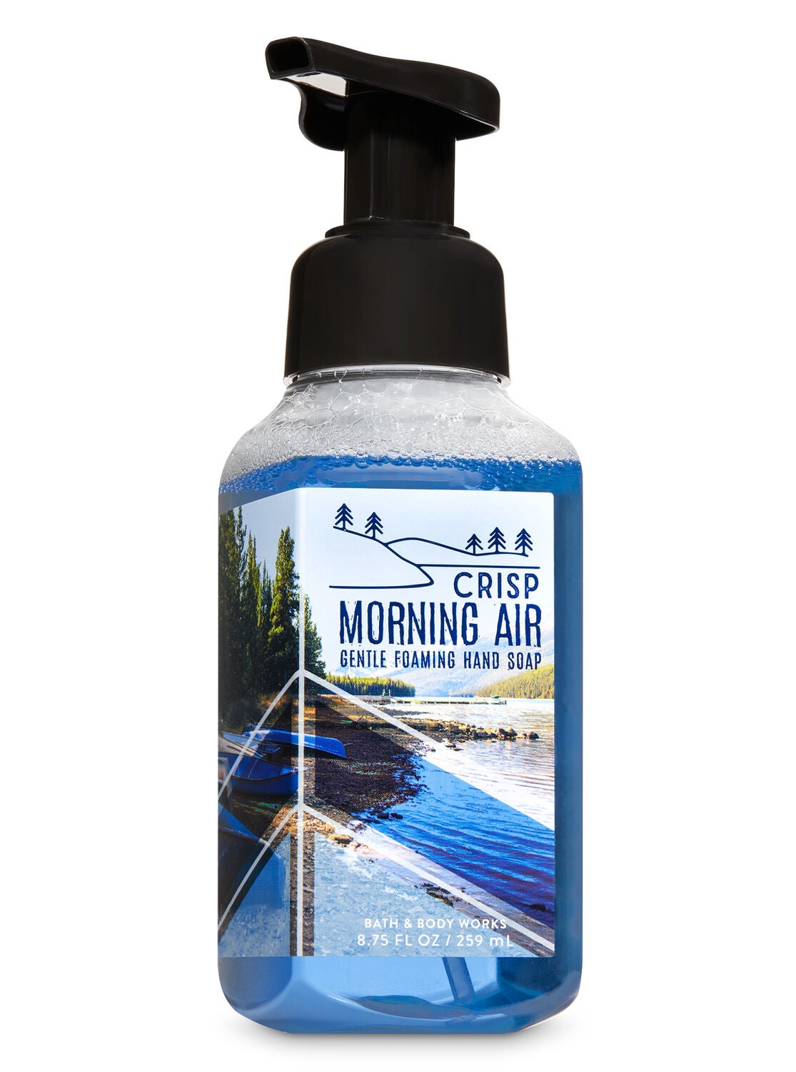 Crisp Morning Air Gentle Foaming Hand Soap - Bath And Body Works