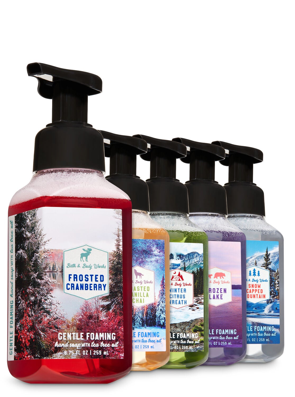 Great Outdoors Gentle Foaming Hand Soap, 5-Pack - Bath And Body Works