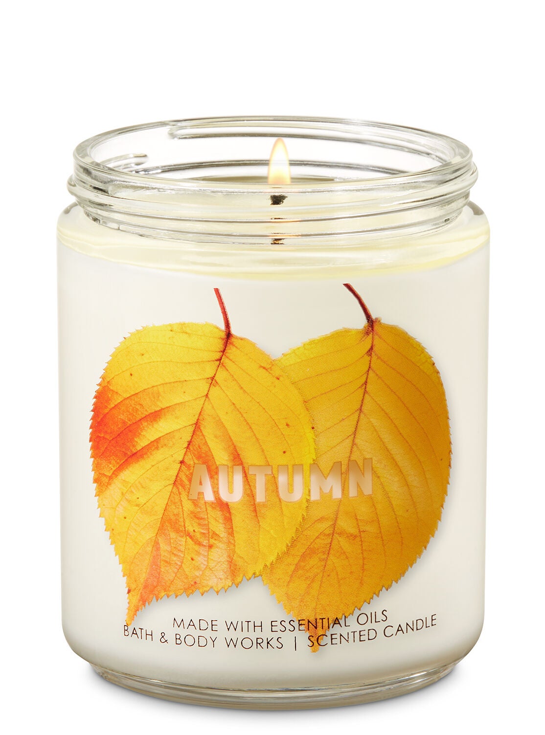 Autumn Single Wick Candle - Bath And Body Works
