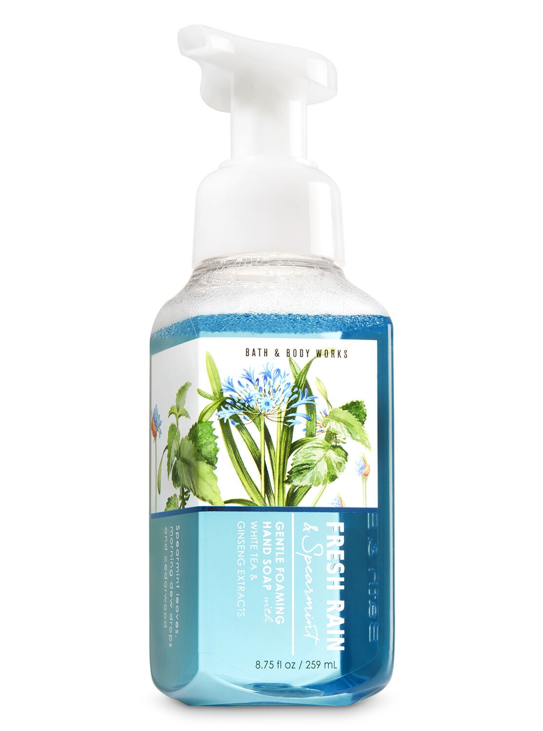 Fresh Rain & Spearmint Gentle Foaming Hand Soap - Bath And Body Works