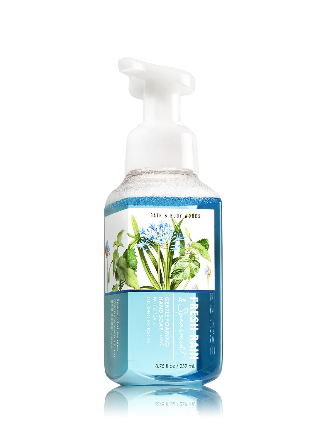 Fresh Rain & Spearmint Gentle Foaming Hand Soap - Bath And Body Works