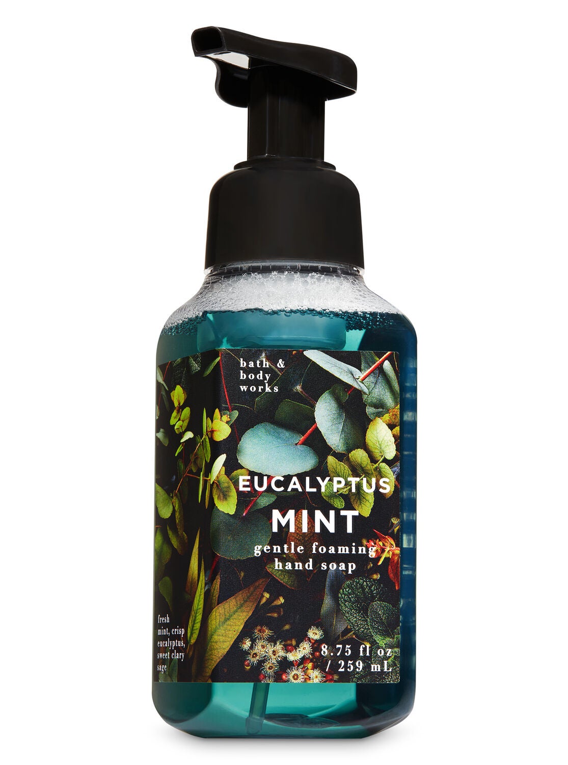 Eucalyptus Mint Gentle Foaming Hand Soap Bath Amp Body Works