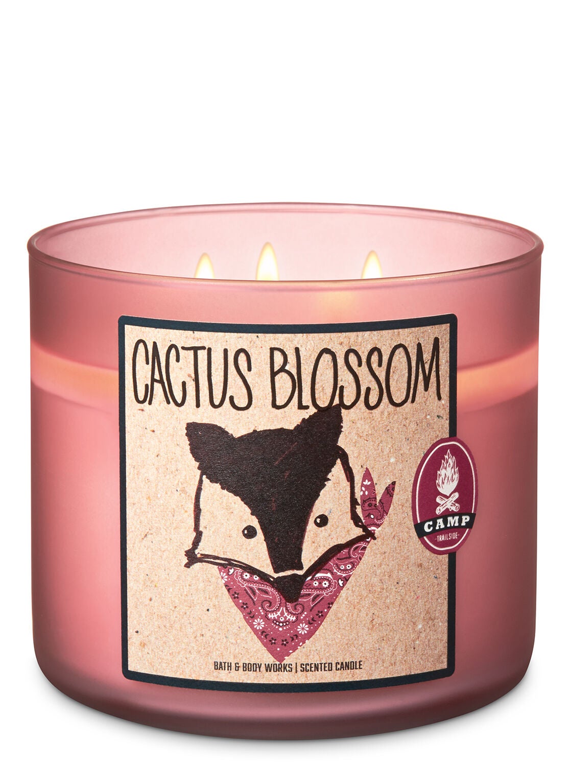 Cactus Blossom 3-Wick Candle - Bath And Body Works
