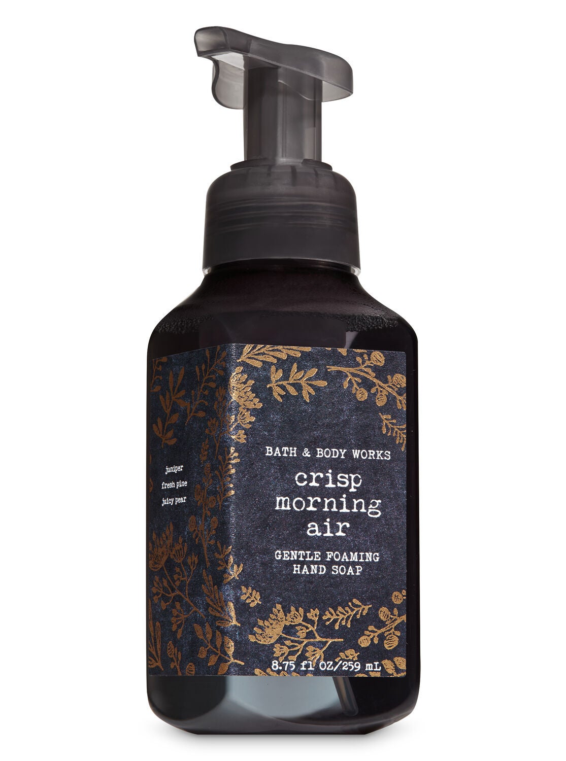 Crisp Morning Air Gentle Foaming Hand Soap - Bath And Body Works