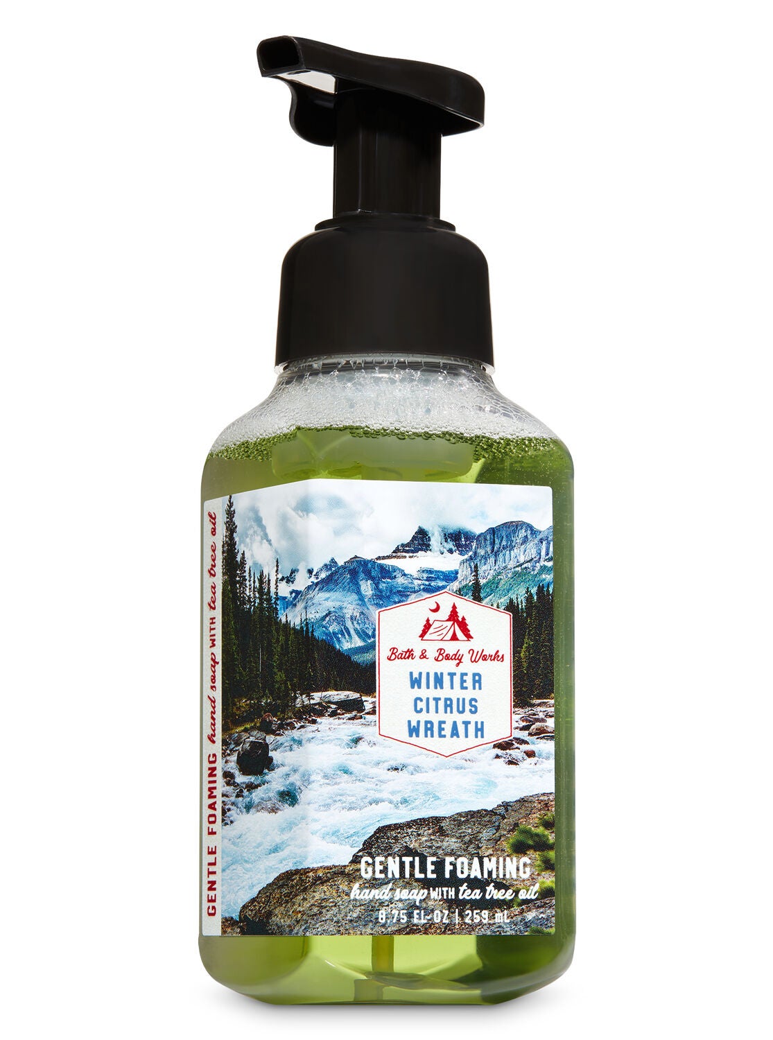 Winter Citrus Wreath Gentle Foaming Hand Soap - Bath And Body Works
