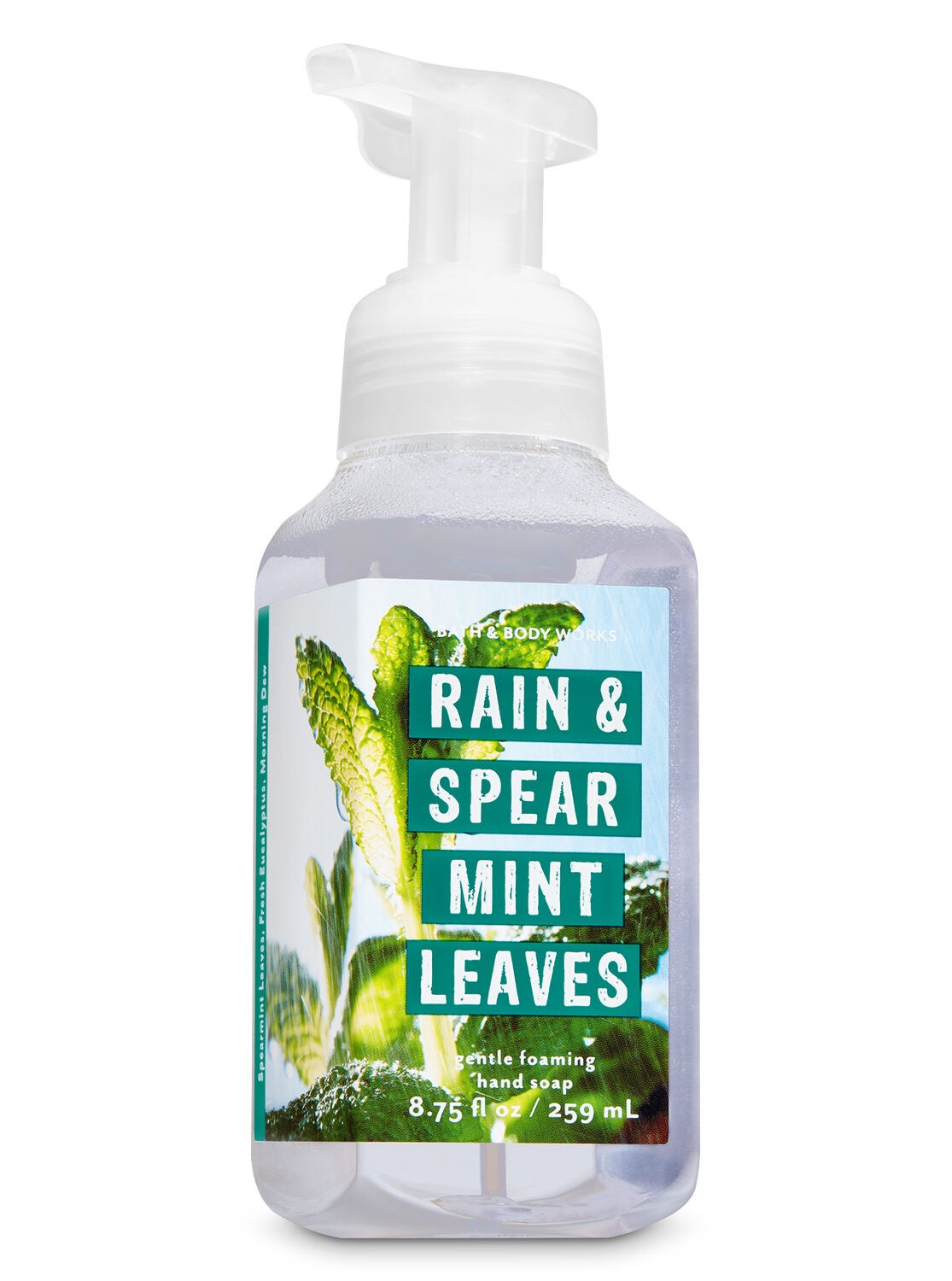 Rain & Spearmint Leaves Gentle Foaming Hand Soap - Bath And Body Works