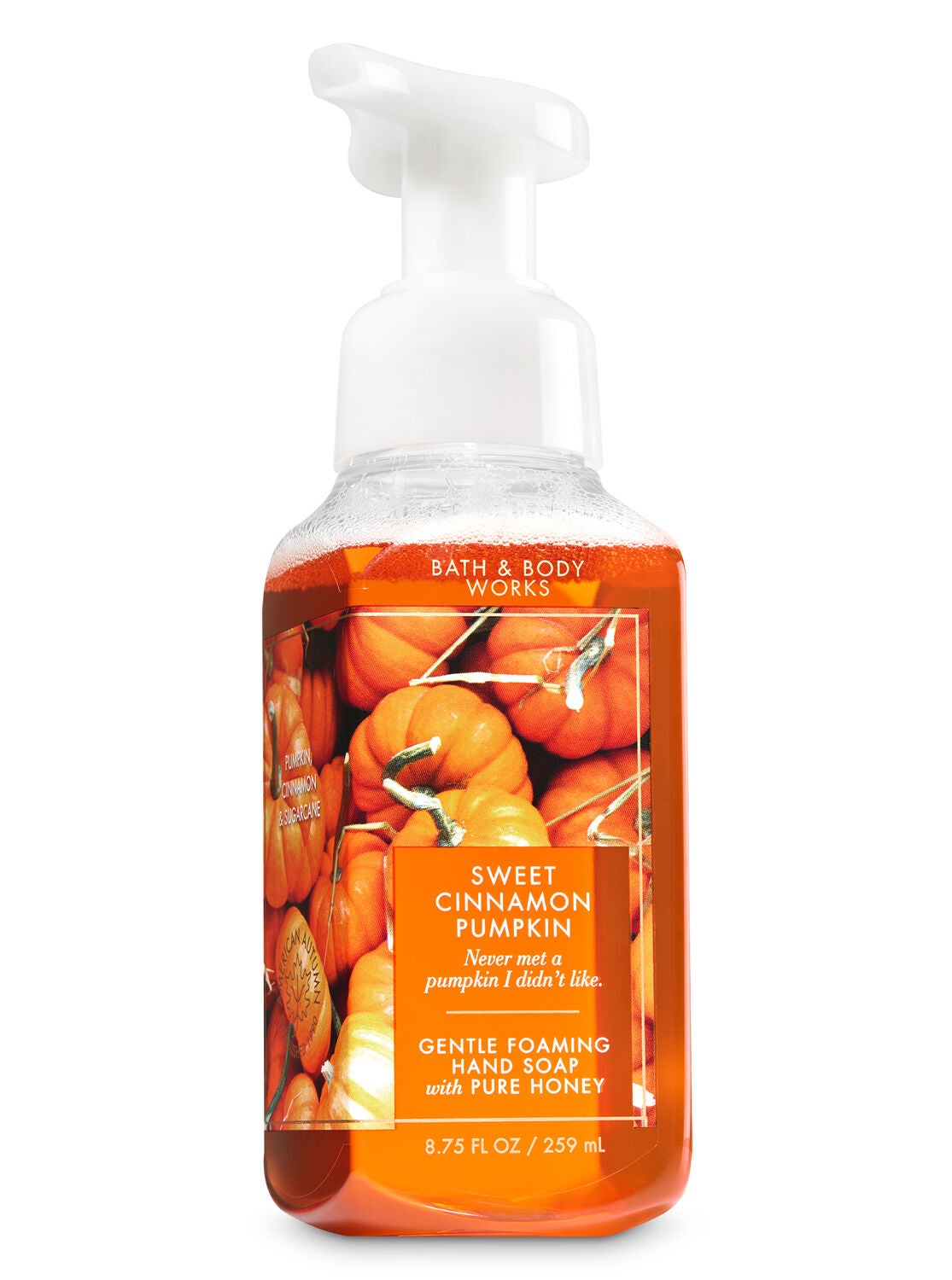 Sweet Cinnamon Pumpkin Gentle Foaming Hand Soap - Bath And Body Works