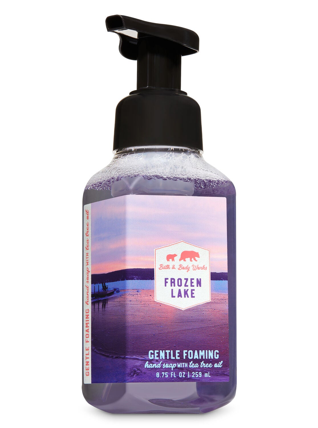 frozen lake foaming gentle soap hand bath works body