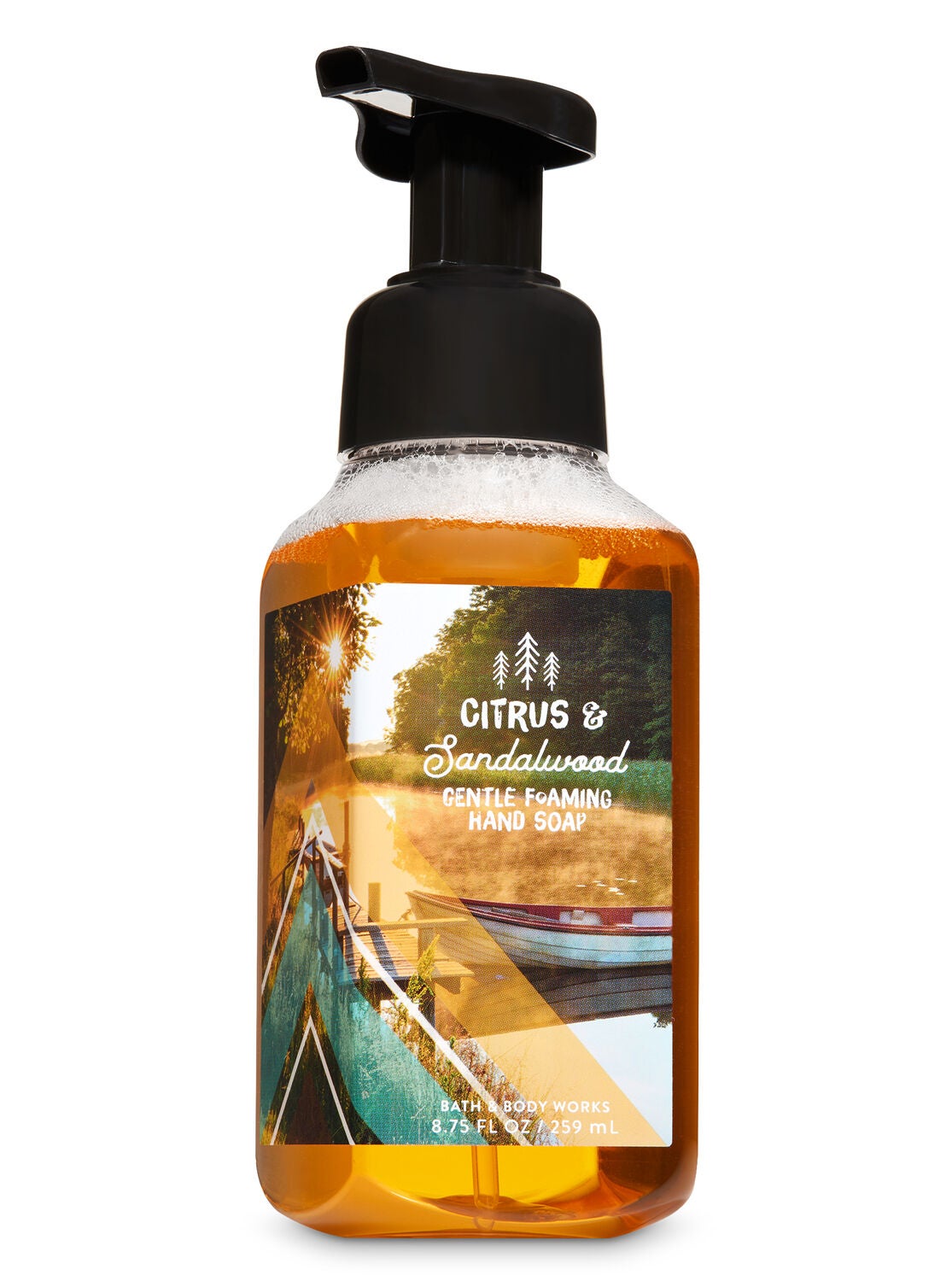 Citrus & Sandalwood Gentle Foaming Hand Soap - Bath And Body Works