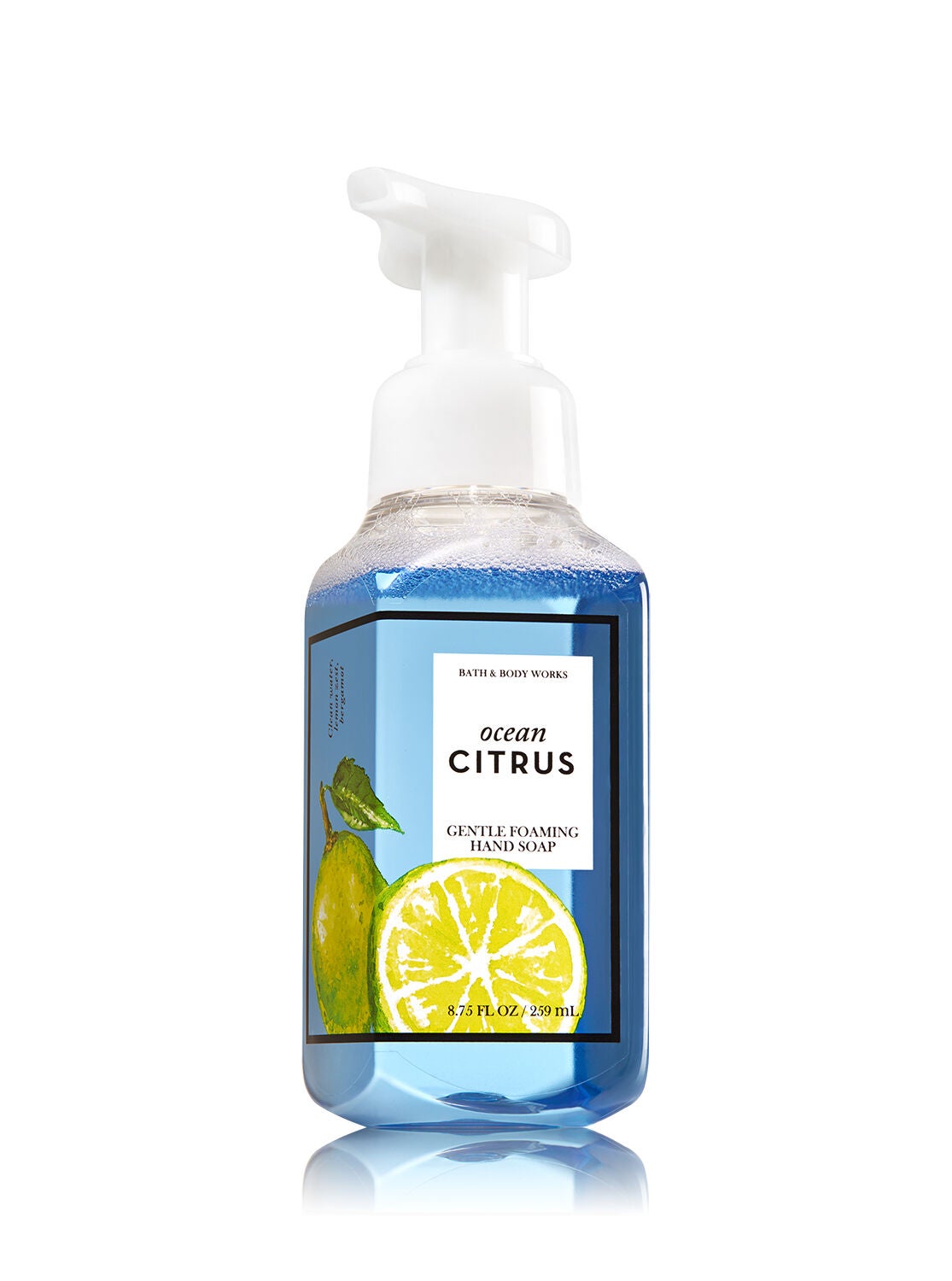 Ocean Citrus Gentle Foaming Hand Soap - Bath And Body Works
