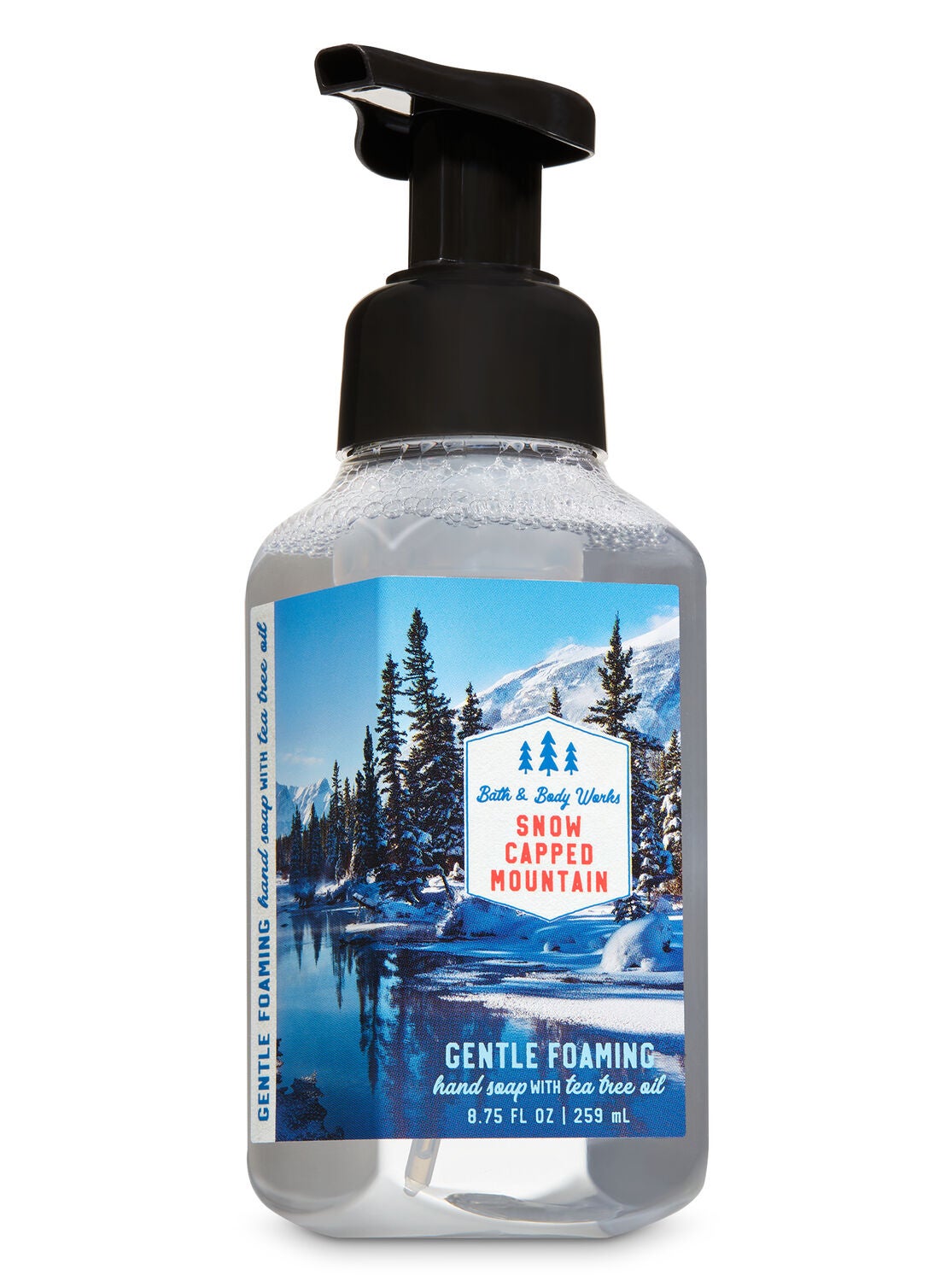 Snow Capped Mountain Gentle Foaming Hand Soap - Bath And Body Works