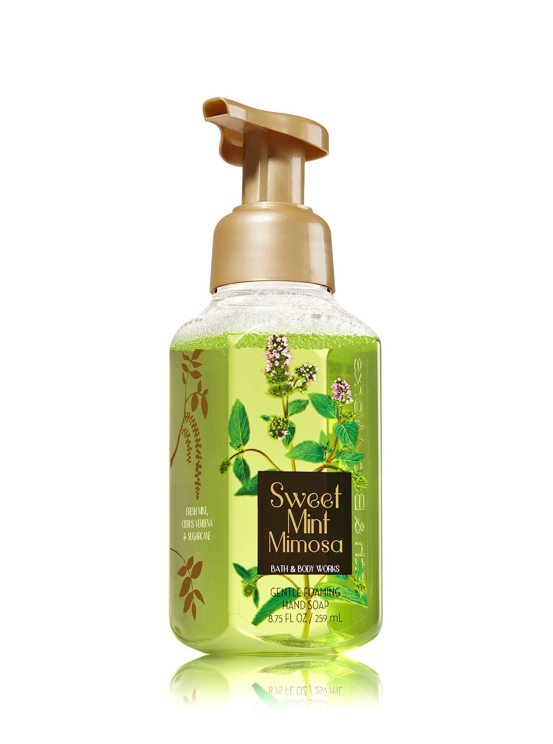 Sweet Mint Mimosa Gentle Foaming Hand Soap - Bath And Body Works