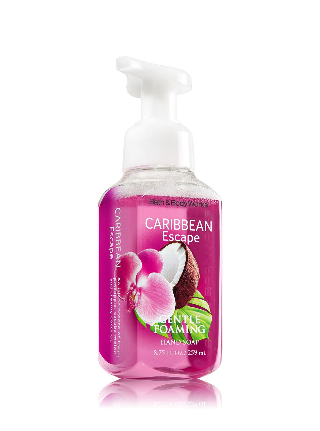 Caribbean Escape Gentle Foaming Hand Soap - Bath And Body Works
