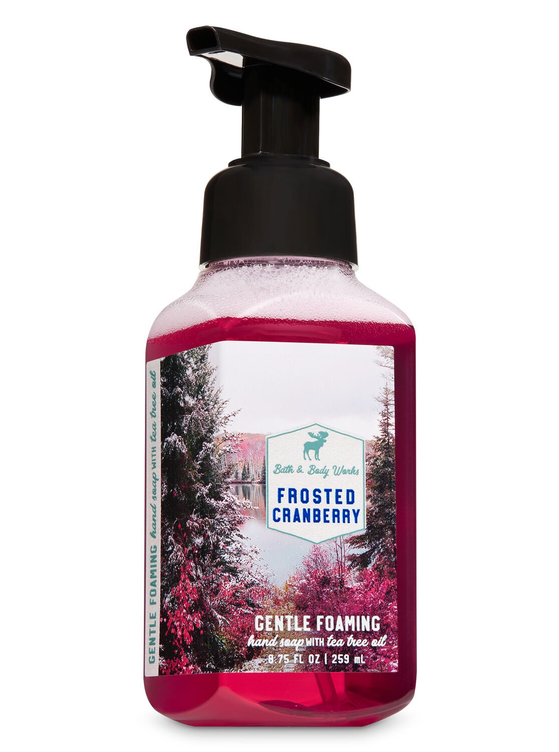 Frosted Cranberry Gentle Foaming Hand Soap - Bath And Body Works
