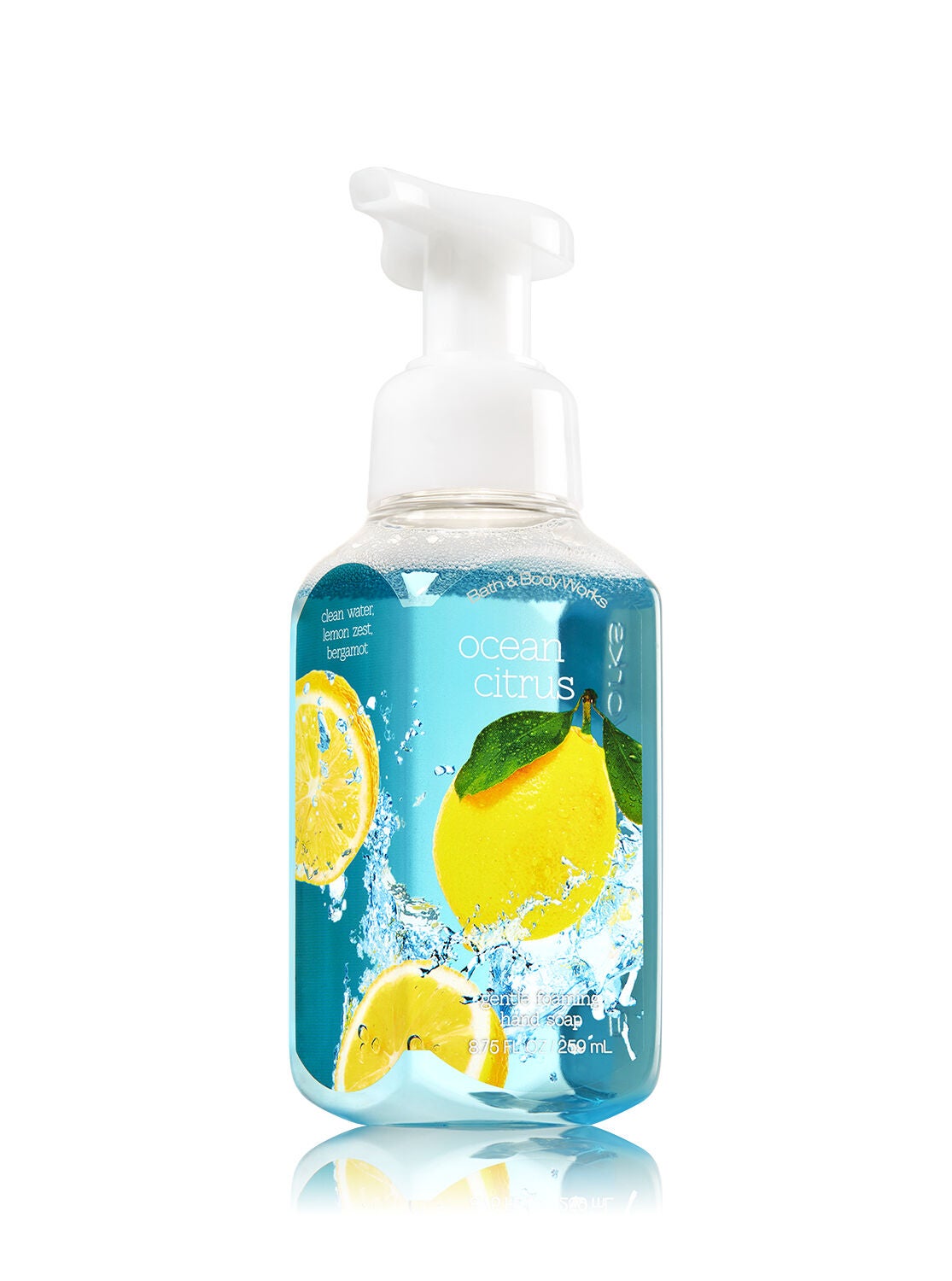 Ocean Citrus Gentle Foaming Hand Soap - Bath And Body Works