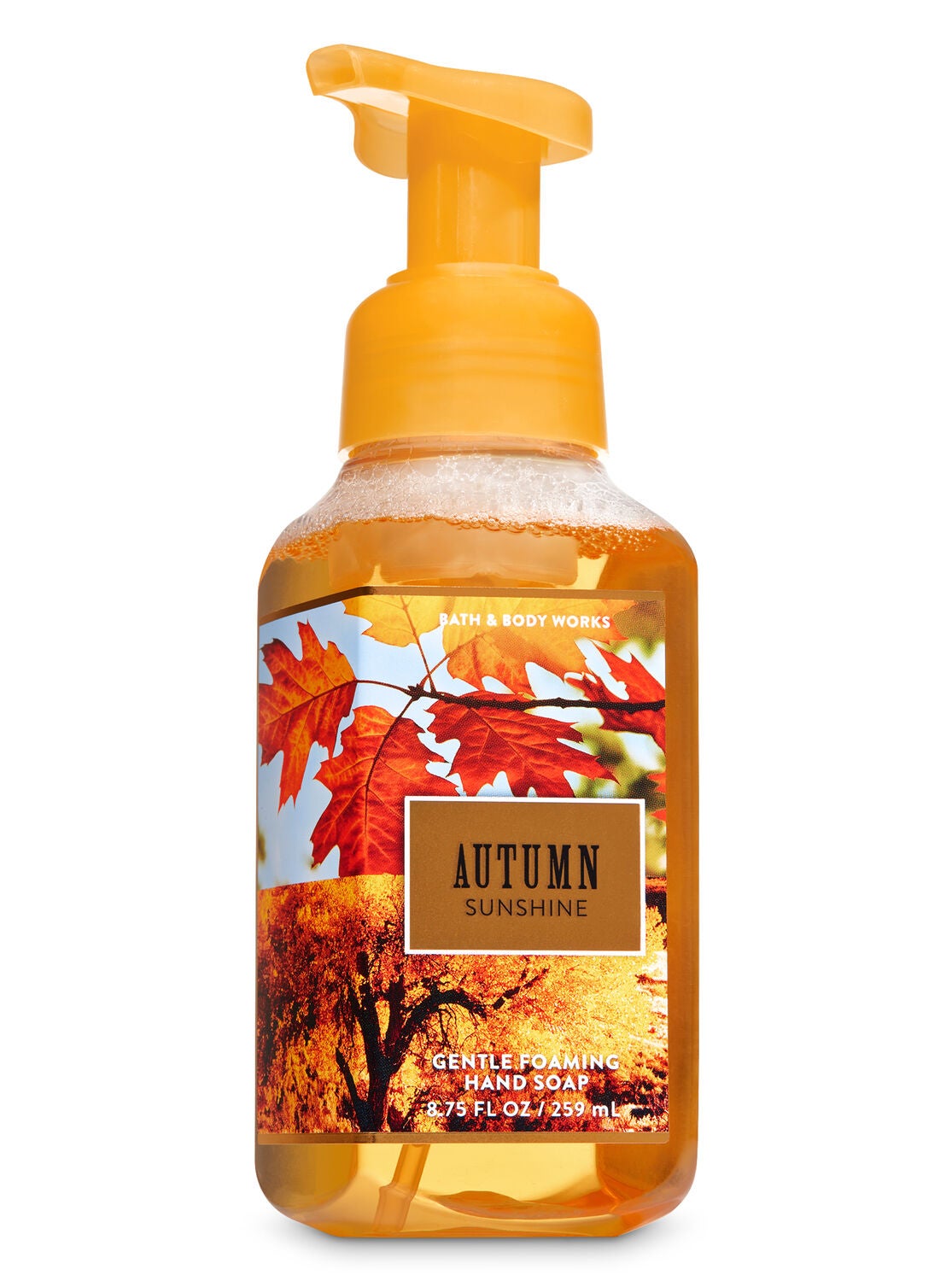 Autumn Sunshine Gentle Foaming Hand Soap - Bath And Body Works