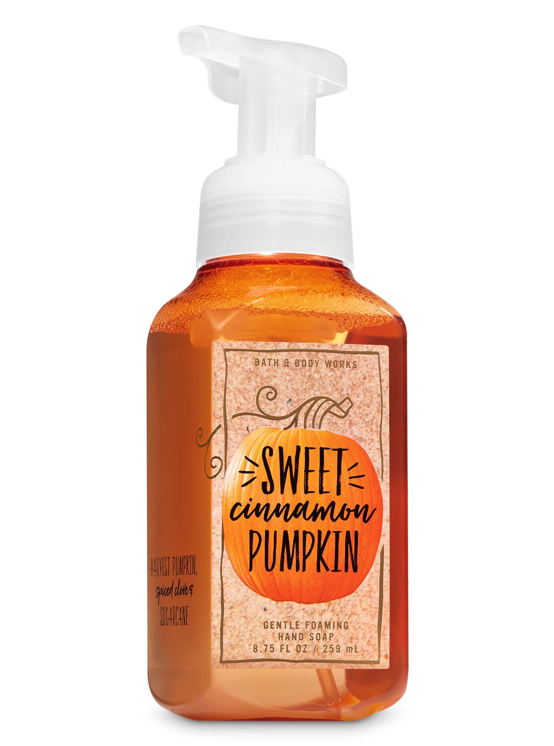Sweet Cinnamon Pumpkin Gentle Foaming Hand Soap - Bath And Body Works