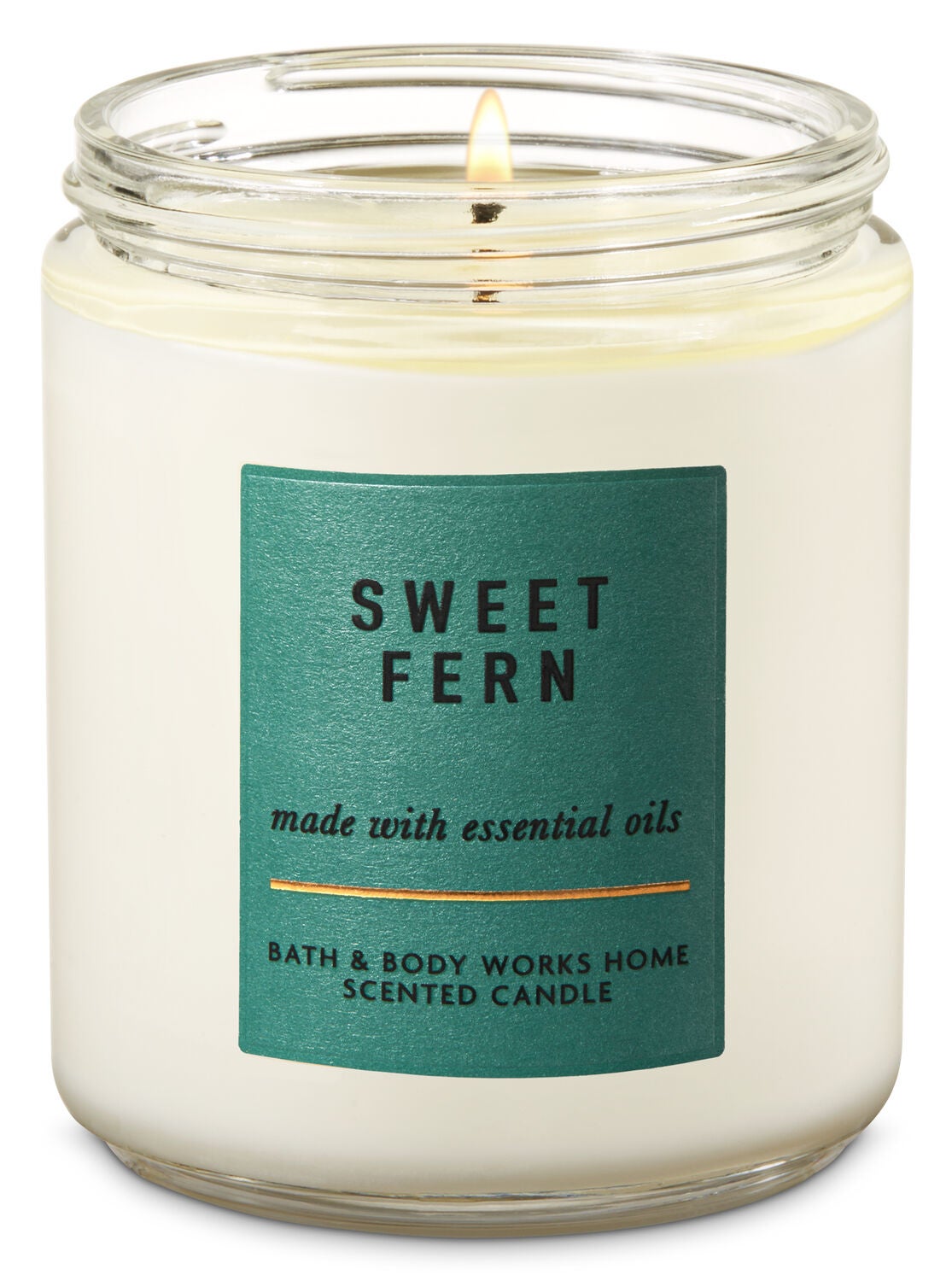Sweet Fern Medium Candle - Bath And Body Works