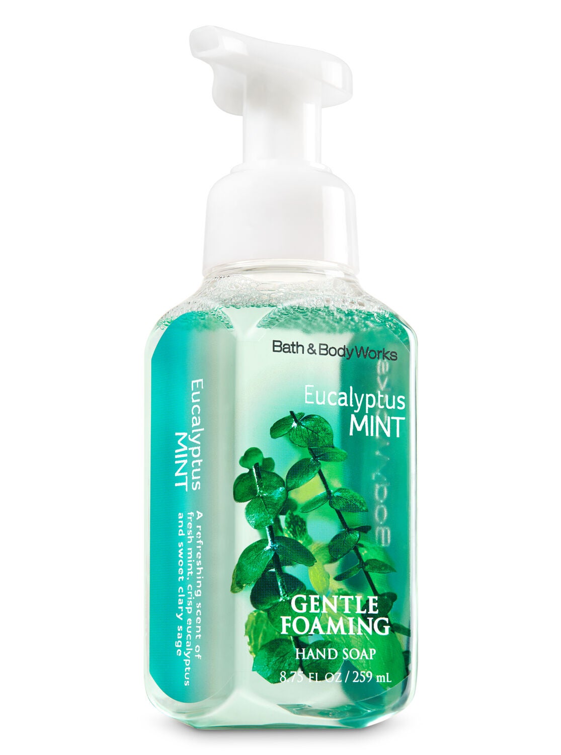 Eucalyptus Mint Gentle Foaming Hand Soap - Bath And Body Works