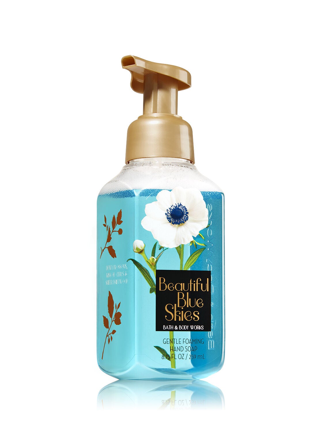 Beautiful Blue Skies Gentle Foaming Hand Soap - Bath And Body Works