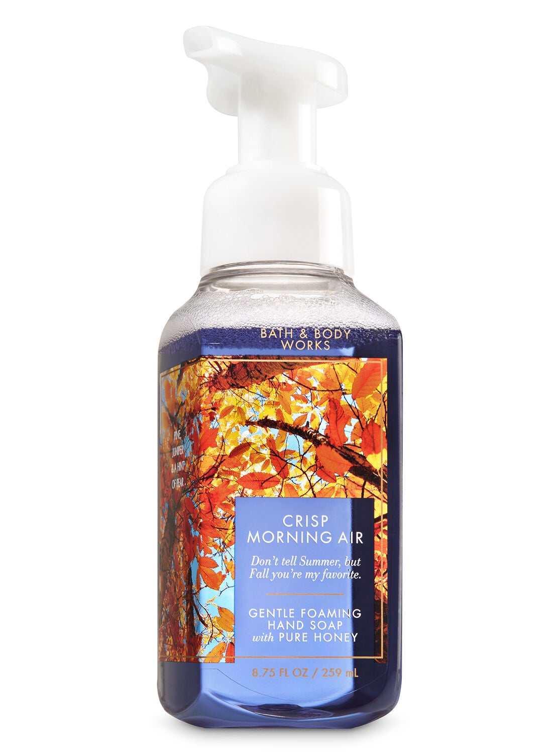 Crisp Morning Air Gentle Foaming Hand Soap - Bath And Body Works