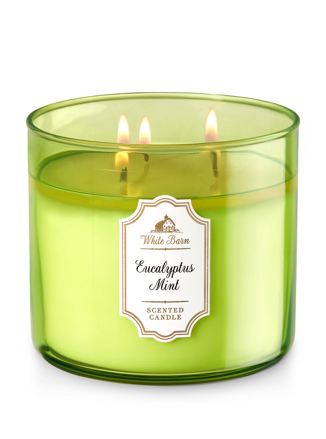 Eucalyptus Mint 3-Wick Candle - Bath And Body Works