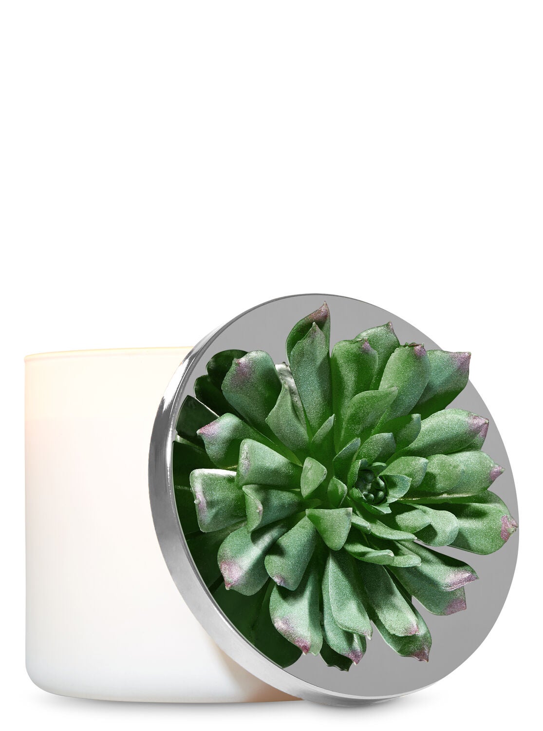 Dark Green Succulent 3-Wick Candle Magnet - Bath And Body Works