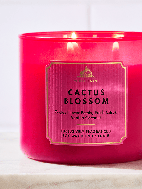 Candles