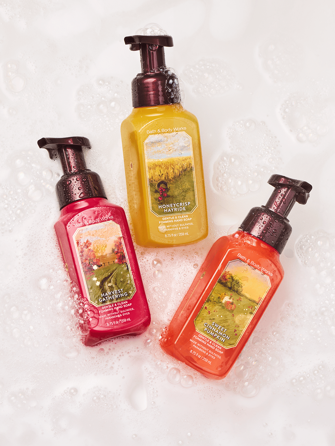 $2.95 All Foaming Hand Soaps
