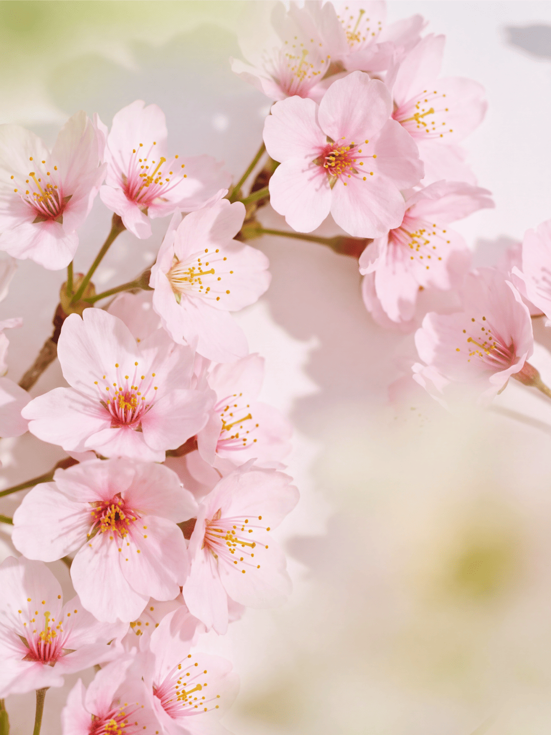 “It’s fresh, floral.  Very feminine without being overpowering. Five stars.”