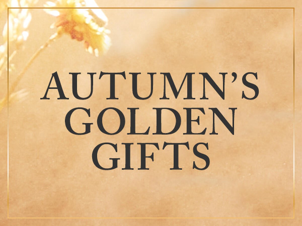 Autumn's Golden Gifts
