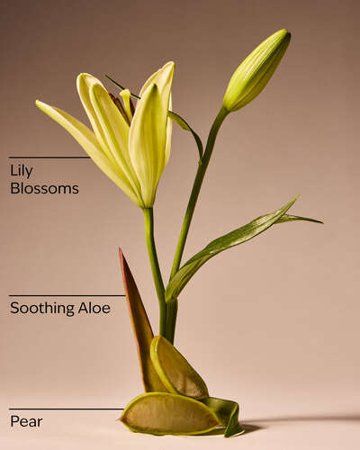 Aloe & Lily Blossoms Gentle & Clean Foaming Hand Soap