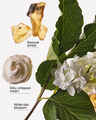 Milk & Musk Wallflowers Fragrance Refill