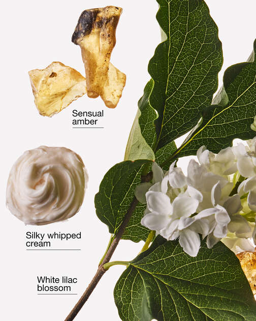 Milk & Musk Wallflowers Fragrance Refill
