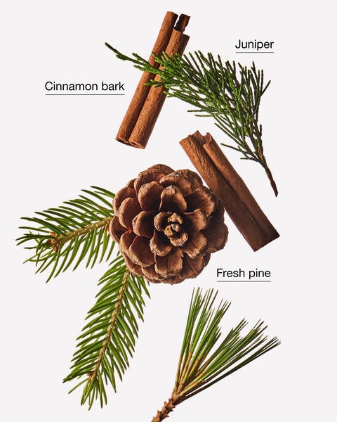 Cinnamon Pinecone 3-Wick Candle