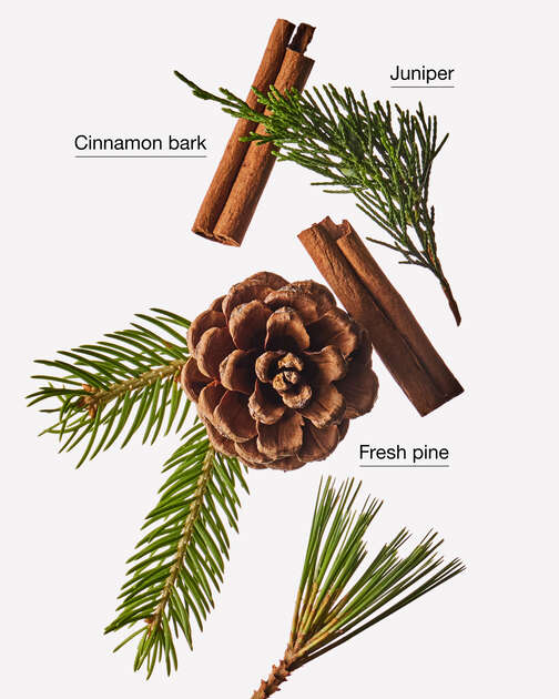 Cinnamon Pinecone 3-Wick Candle