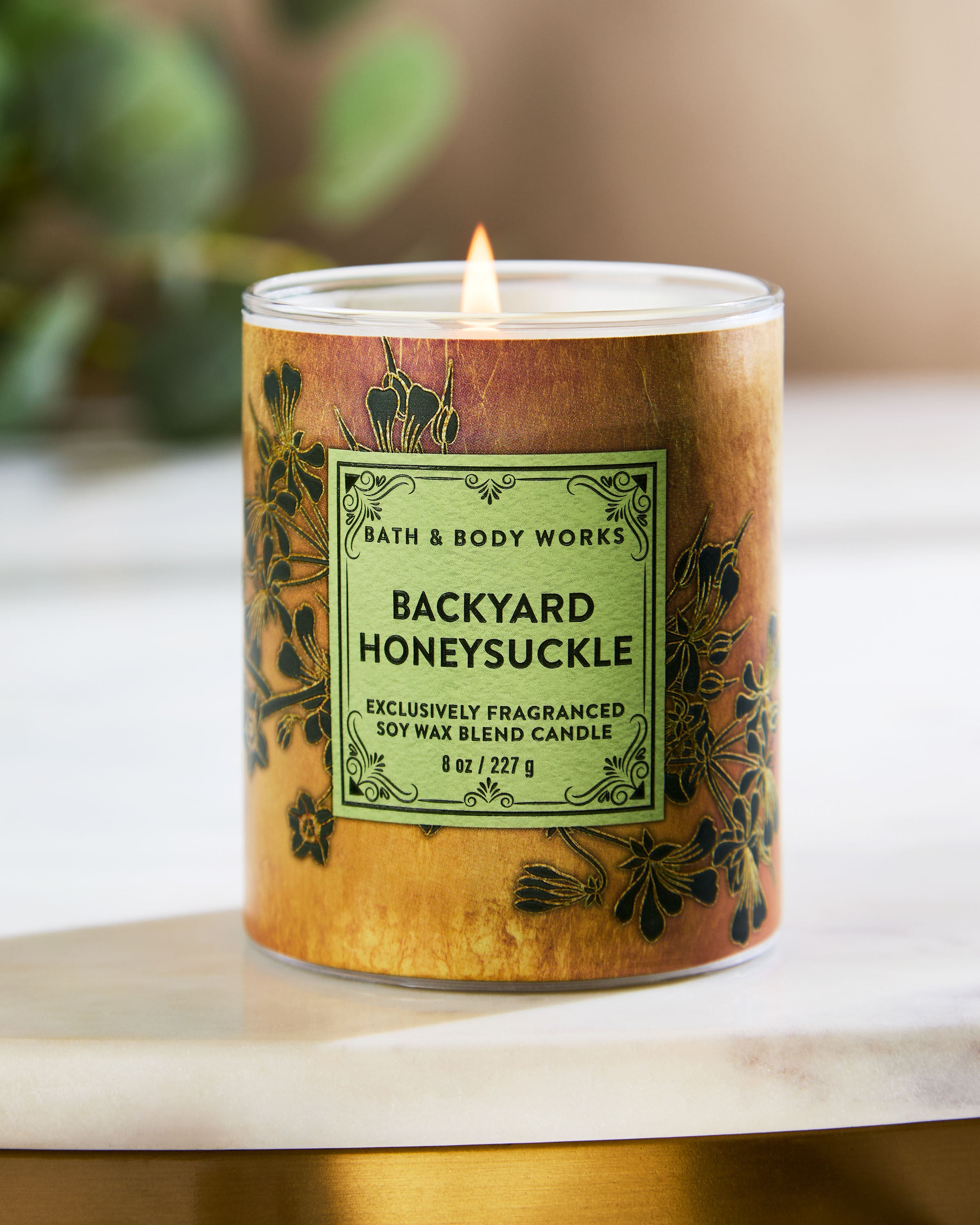 Backyard Honeysuckle Single Wick Candle | Bath & Body Works