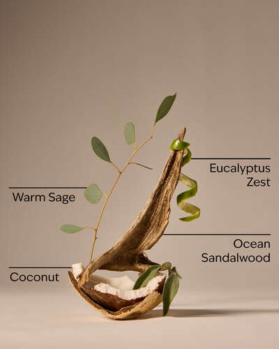 Warm Ocean Breeze 3-Wick Candle