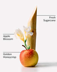 Honeycrisp Apple Wallflowers Refills 2-Pack